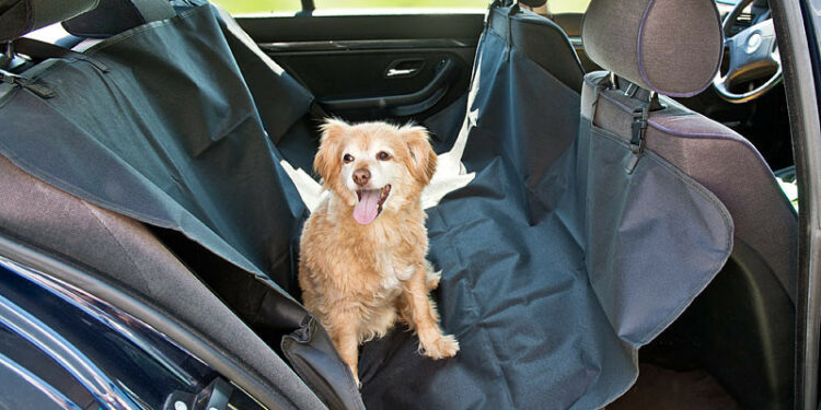 Quelle est la matière qui n'accroche pas les poils ?