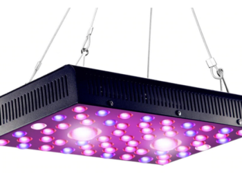 Quelle est la meilleur lampe LED horticole ?