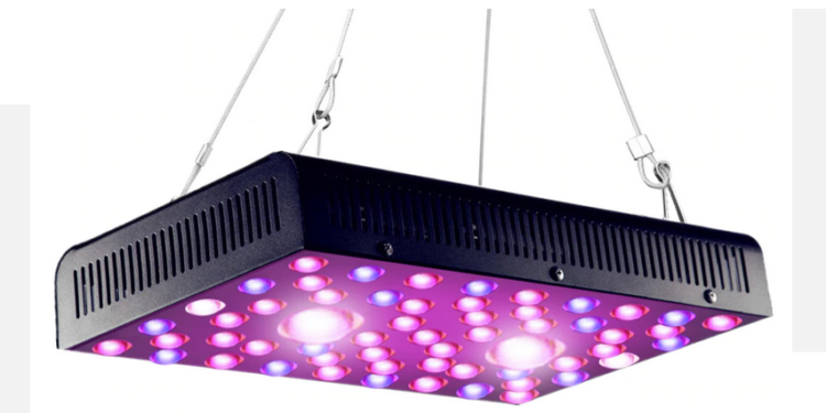 Quelle est la meilleur lampe LED horticole ?