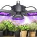 Quelle est la meilleur lampe LED horticole ?