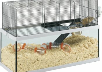 Quelle est la meilleure cage pour lapin nain ?