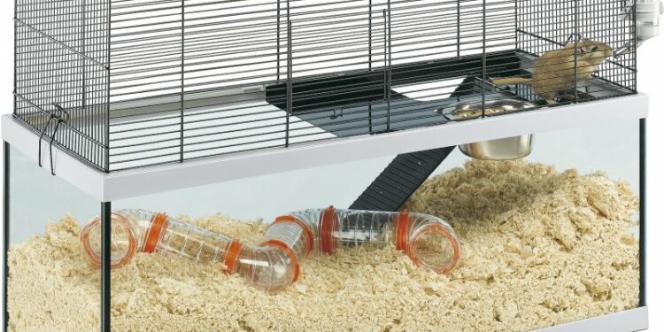 Quelle est la meilleure cage pour lapin nain ?