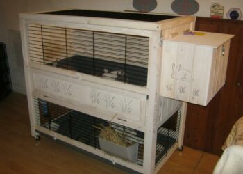 Quelle est la meilleure cage pour lapin nain ?