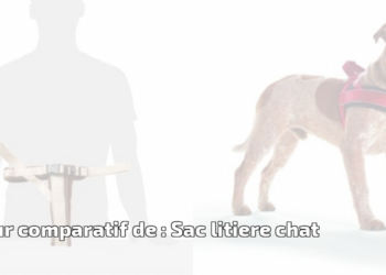 Quelle est la meilleure caisse litière pour chat ?