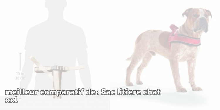 Quelle est la meilleure caisse litière pour chat ?