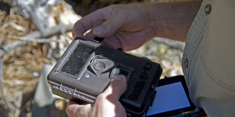 Quelle est la meilleure caméra de chasse ?