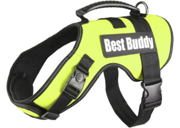 Quelle est la meilleure forme de harnais ?