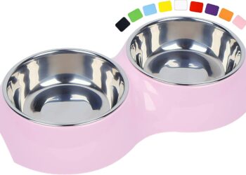 Quelle est la meilleure gamelle pour chien ?