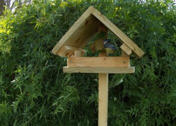 Quelle est la meilleure mangeoire à oiseaux ?