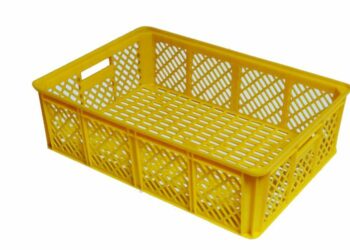 Quelle est la meilleure période pour acheter des poussins ?