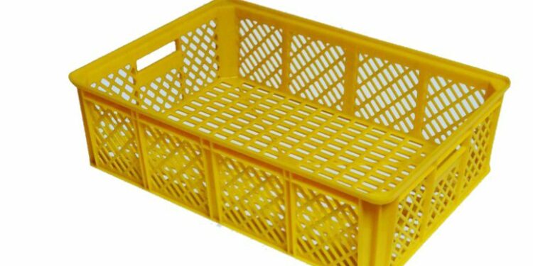 Quelle est la meilleure période pour acheter des poussins ?