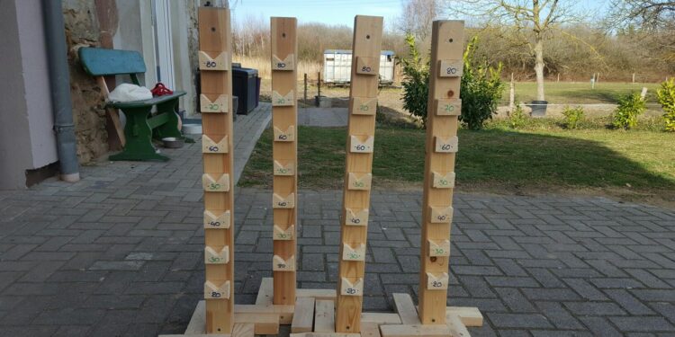 Quelle est la meilleure race de chien pour faire de l'agility ?