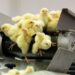 Quelle est la nourriture des poussins ?
