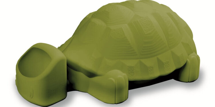 Quelle est la nourriture préférée des tortues ?