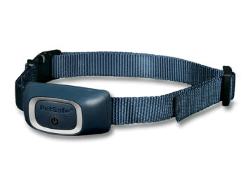 Quelle est la race de chien qui aboie le plus ?