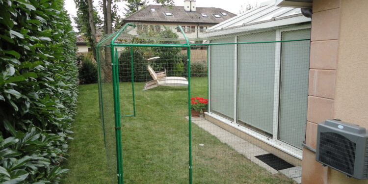 Quelle est la race de chien qui fugue le plus ?