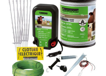 Quelle est la race de chien qui fugue le plus ?