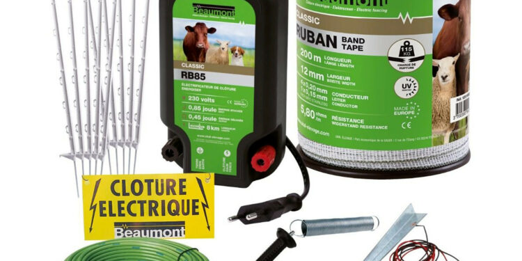 Quelle est la race de chien qui fugue le plus ?