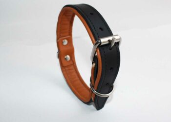 Quelle est la taille xxl pantalon ?