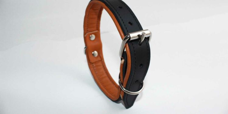 Quelle est la taille xxl pantalon ?