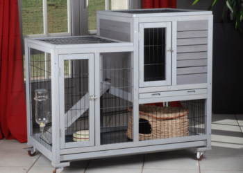 Quelle est la température idéale pour un furet ?