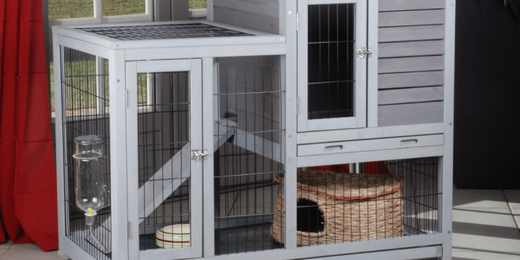 Quelle est la température idéale pour un furet ?