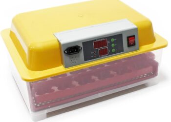 Quelle est la température idéale pour une couveuse ?