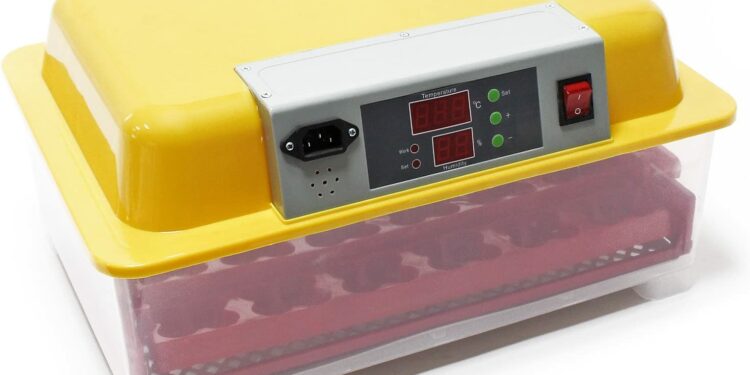 Quelle est la température idéale pour une couveuse ?