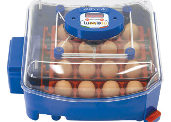 Quelle est la température pour une couveuse ?