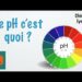 Quelle est l'importance du pH dans la vie quotidienne ?