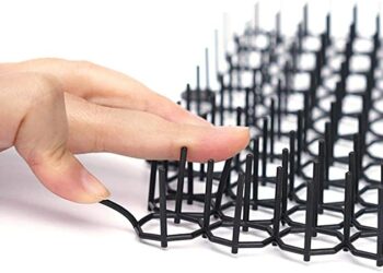 Quelle est l'odeur que les chats n'aiment pas ?