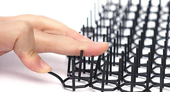 Quelle est l'odeur que les chats n'aiment pas ?