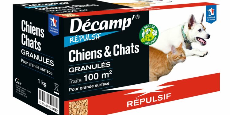 Quelle est l'odeur que les chiens détestent ?