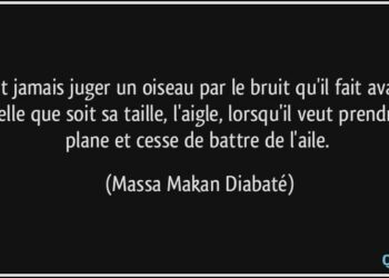Quelle est l'oiseau le plus gentil ?