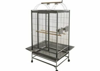Quelle forme de cage Faut-il éviter pour un oiseau ?