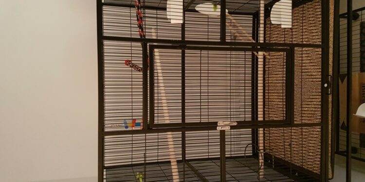 Quelle forme de cage Faut-il éviter pour un oiseau ?