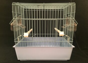 Quelle forme de cage Faut-il éviter pour un oiseau ?