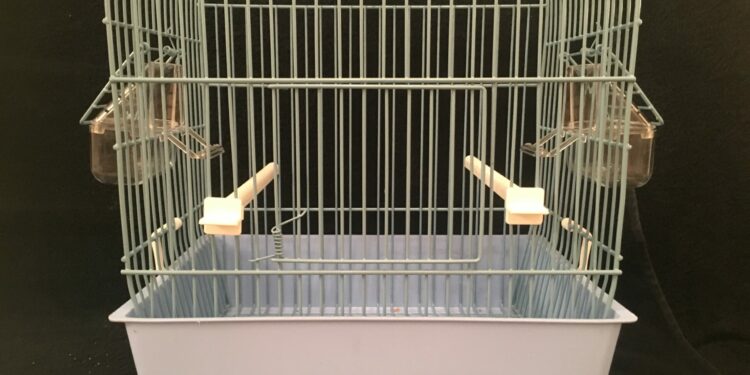 Quelle forme de cage Faut-il éviter pour un oiseau ?