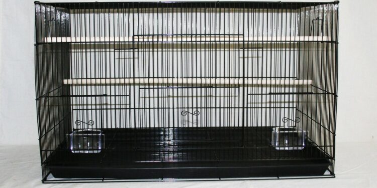 Quelle forme de cage Faut-il éviter pour un oiseau ?