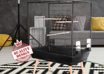 Quelle forme de cage Faut-il éviter pour un oiseau ?