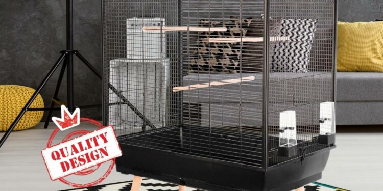 Quelle forme de cage Faut-il éviter pour un oiseau ?