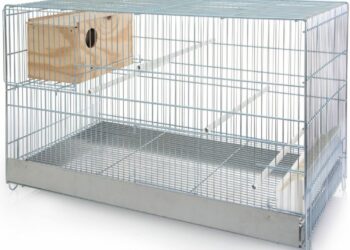 Quelle forme de cage Faut-il éviter pour un oiseau ?