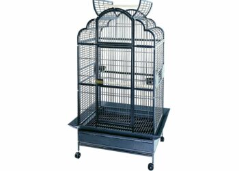 Quelle forme de cage Faut-il éviter pour un oiseau ?