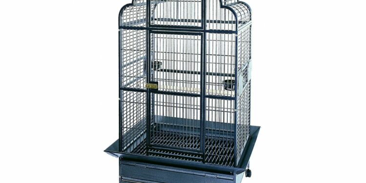 Quelle forme de cage Faut-il éviter pour un oiseau ?