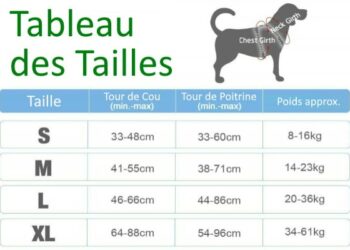 Quelle forme de harnais pour mon chien ?