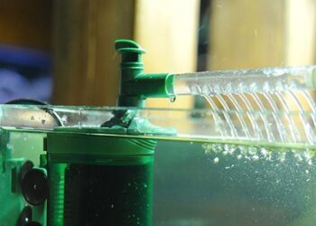 Quelle fréquence laver aquarium ?