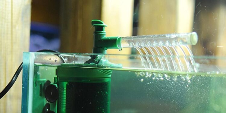 Quelle fréquence laver aquarium ?