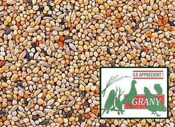 Quelle graine pour Mandarin ?