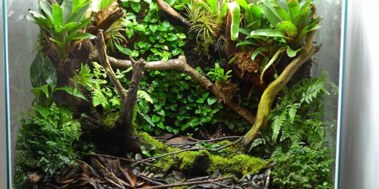 Quelle grenouille pour debuter ?