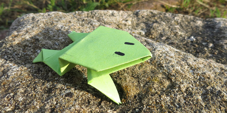 Quelle grenouille pour debuter ?